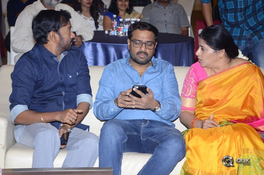 Ammammagarillu-Movie-Successmeet
